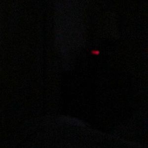 Meet your Posher, Savannah